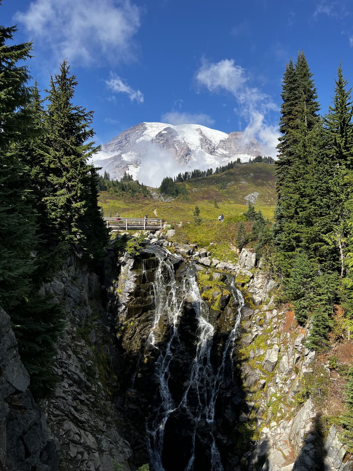 Mount Rainier NP 